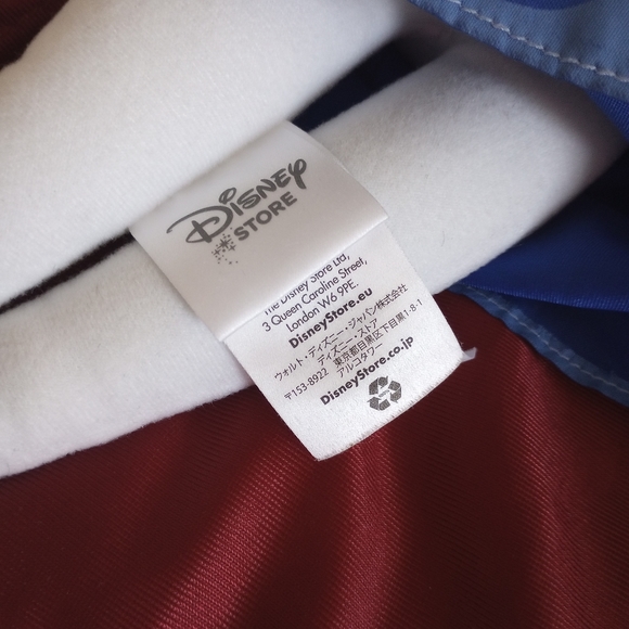 DISNEY Frozen Anna Doll Authentic Original Doll Winter Outfit Disney Store - 21" - Picture 9 of 9